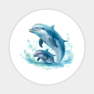 Dolphin Magnet